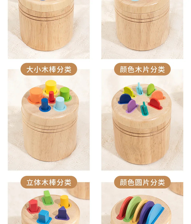 Wooden Montessori Color Sorting Toy for Toddlers