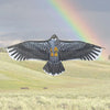 Eagle Pattern Kite with 30m Line – Easy-Fly Outdoor Toy for Kids