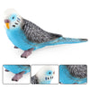 Realistic Bird Figurine Set – Educational PVC Models for Kids and Collectors