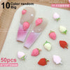 Fruit & Floral Resin Nail Art Decorations