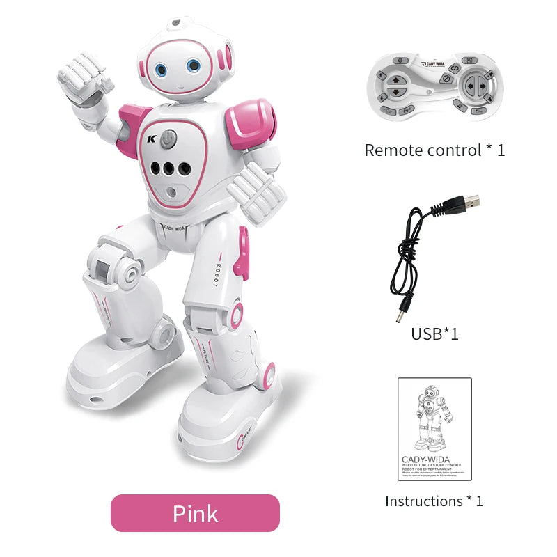 Interactive Dancing Robot with Remote Control and Gesture Sensing