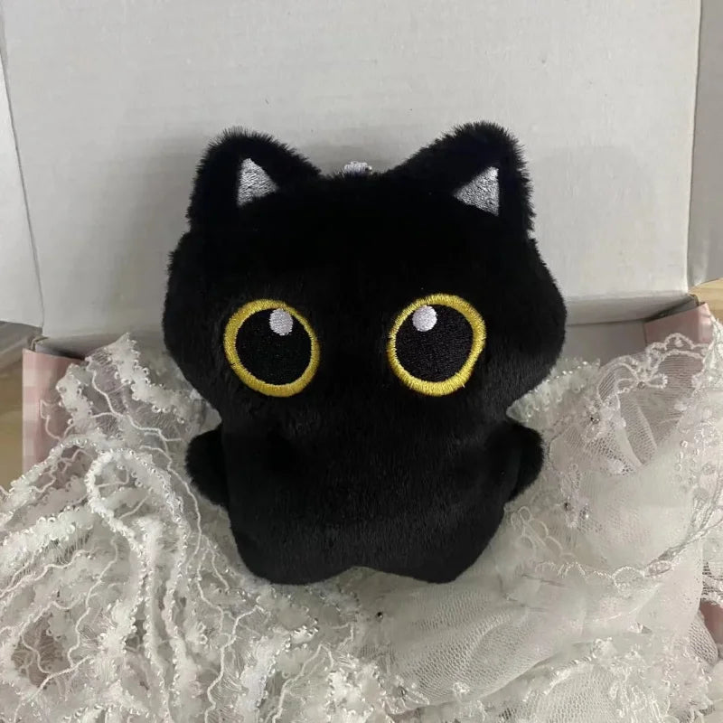 A black plush cat with large yellow eyes is displayed in a white box surrounded by white lace fabric.