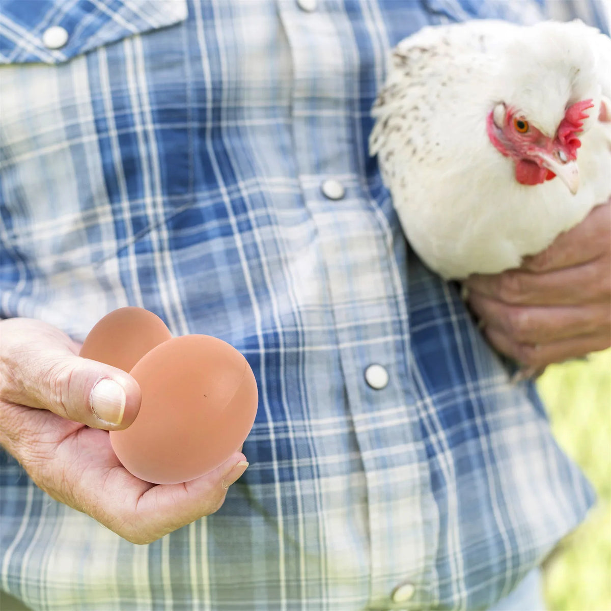 A person holds a white hen with a pink comb and a brown plastic egg in front of a blue plaid shirt.