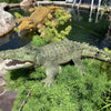 Realistic Remote Control Crocodile for Pool and Lake Play