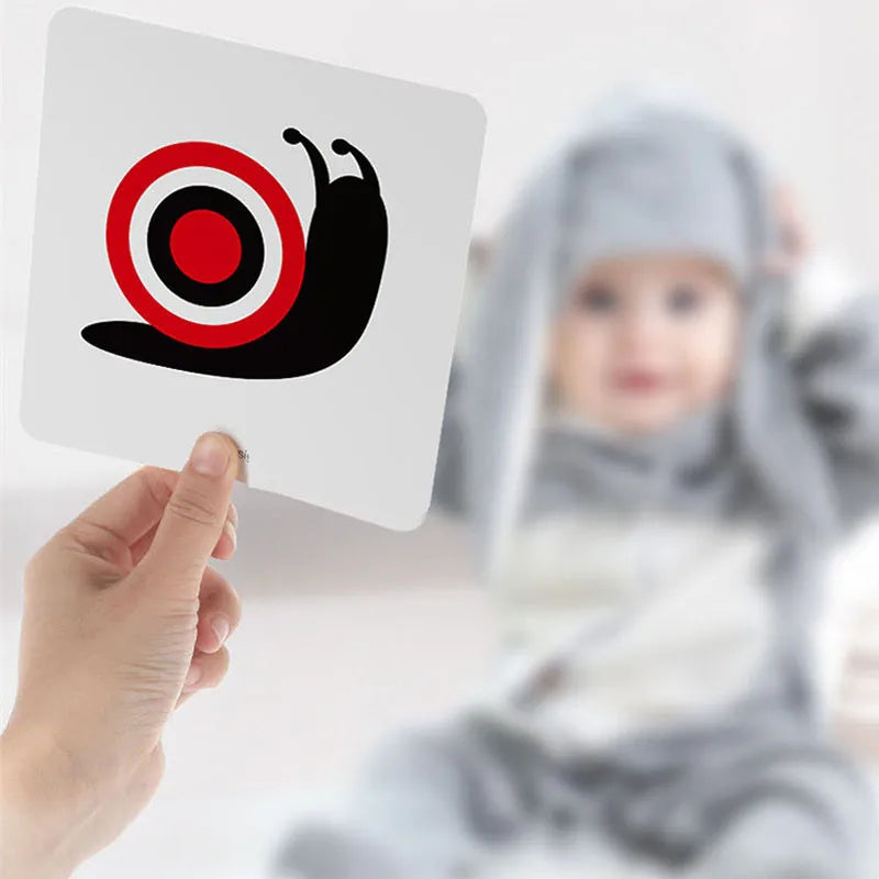 High Contrast Black and White Flash Cards for Baby Visual Development