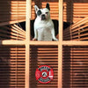 A British Bulldog sits in front of a window with horizontal blinds, featuring an alert decal.