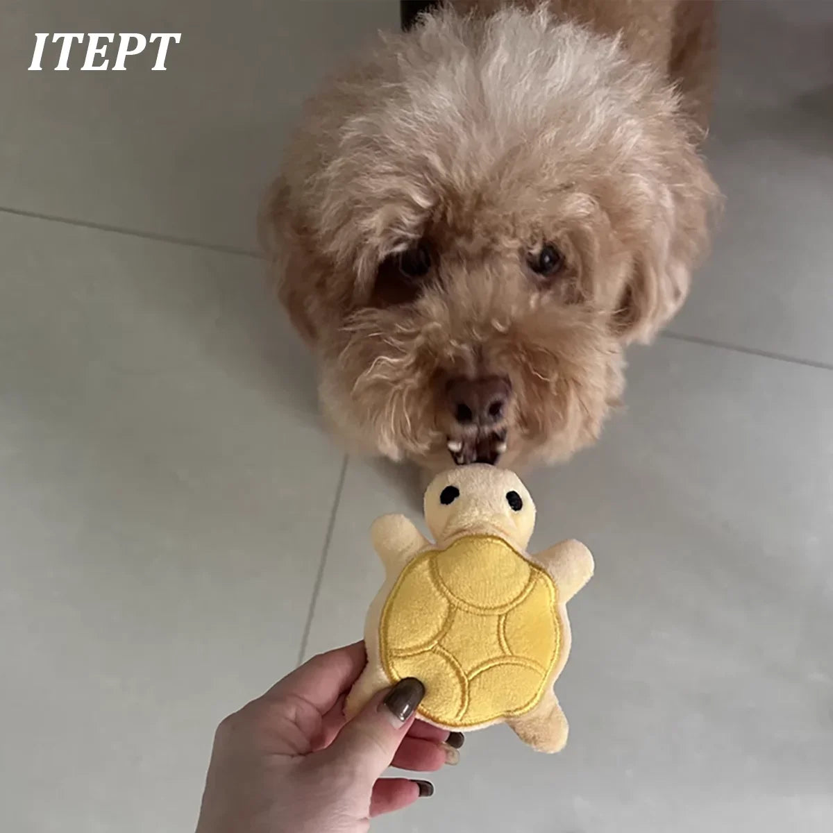 A hand holds a yellow mini turtle plush chew toy for puppies against a light background.