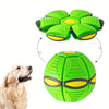 Helles grünes, robustes Spielzeug in Form eines UFO für Hunde neben einem Golden Retriever
