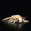 A soft, white and orange silk moth plushie with brown wings is lying on a dark surface.