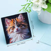 DIY Transparent Acrylic Fridge Magnets with Magnetic Sheet (Set of 5)