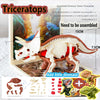 Assembled Triceratops dinosaur skeleton model kit with accessories and instructions