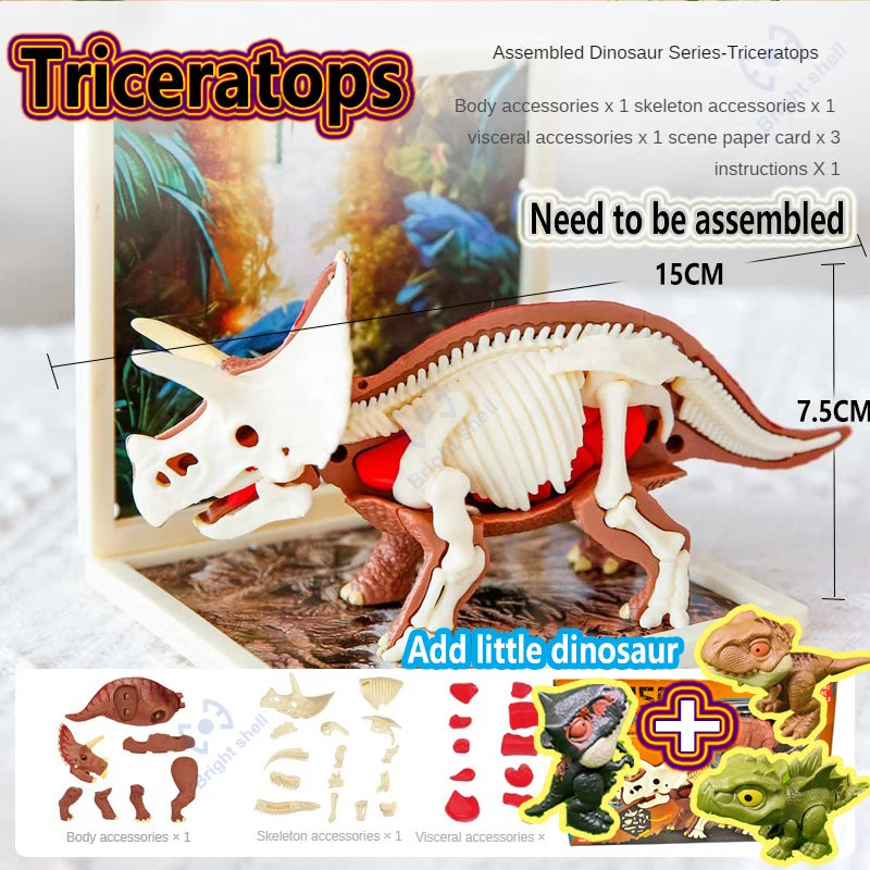 Assembled Triceratops dinosaur skeleton model kit with accessories and instructions