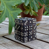 A stack of black and white transparent dice set resting on a wooden surface next to a green plant.