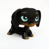A black dachshund bobblehead figurine with light blue eyes and tan accents.