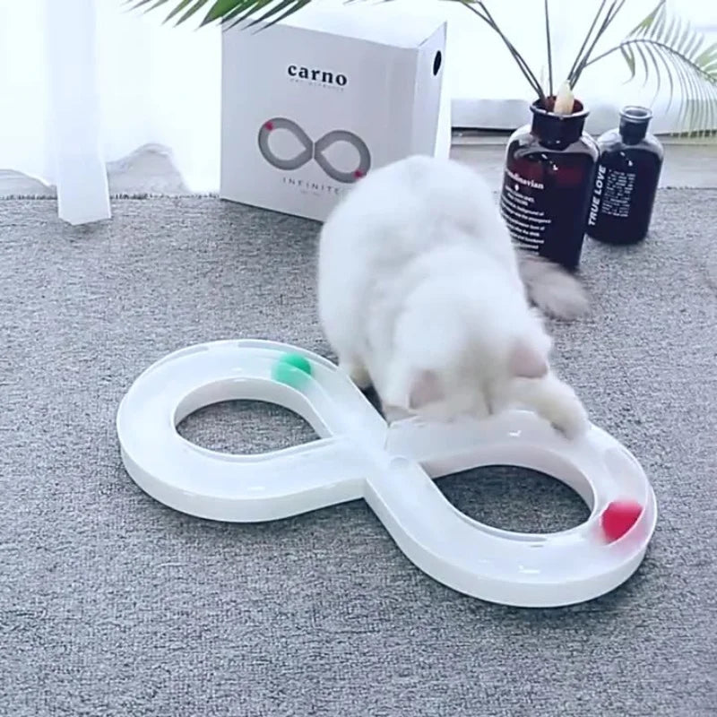 A white cat is interacting with a white, oval-shaped toy featuring colored balls on its surface.