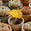 Cute Bee-Shaped Garden Water Feeder