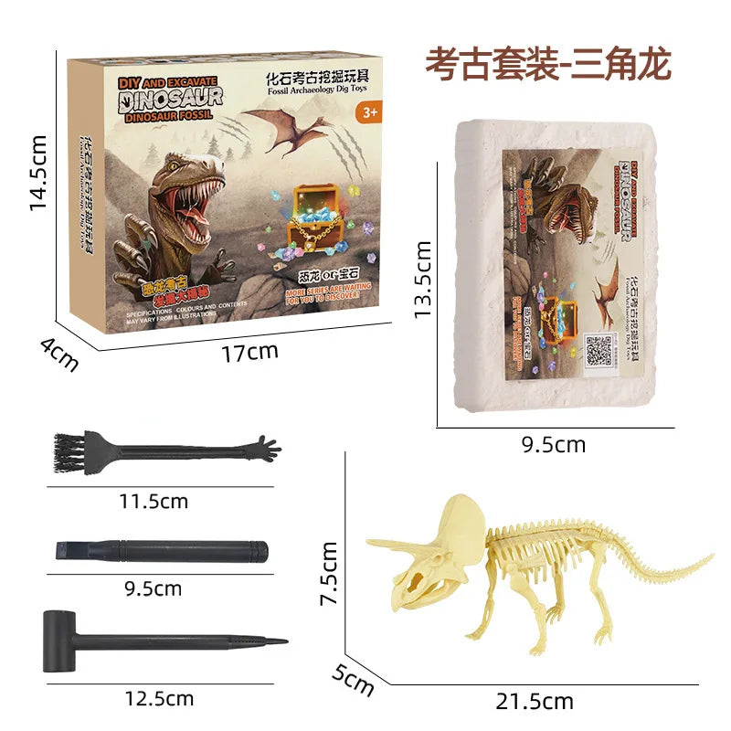 A dinosaur fossil dig kit set showing various tools and a reconstructed dinosaur skeleton model.