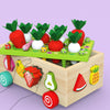 A wooden toy set featuring magnetic radish shapes and various fruit shapes for matching and stacking.