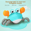 A bright blue and orange interactive music crab toy designed to encourage babies to crawl and strengthen muscles.