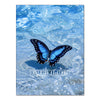 A blue butterfly is resting on the surface of clear, sparkling water.