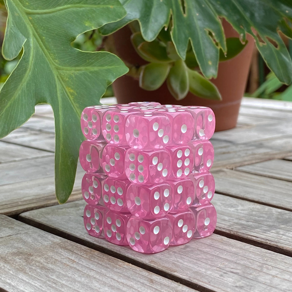A stack of pink translucent dice in a clear display case resting on a wooden surface.