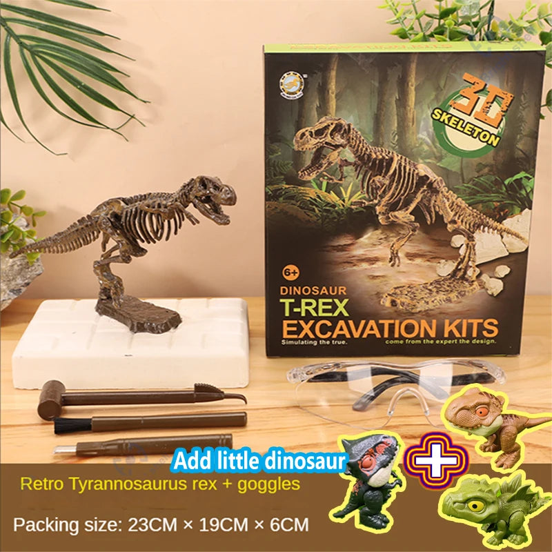 A dinosaur skeleton model and excavation tools are shown in a box for a kid's kit.