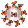 Disposition circulaire de papillons monarques oranges utilisés comme décoration murale.