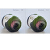 A ball of hand-dyed rainbow merino wool yarn in shades of green and pink, shown from the side.