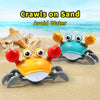 Three colorful crab toys are shown on sand, demonstrating obstacle avoidance for toddlers.