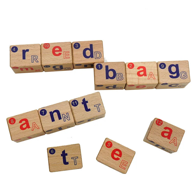 Wooden Magnetic Alphabet Blocks for Phonics and Spelling