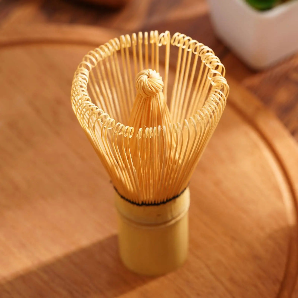 A bundle of thin bamboo whisk strands bundled together in a small container for a tea ceremony.