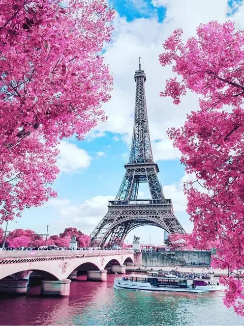 A vibrant pink cherry blossom tree frames the Eiffel Tower in Paris against a blue sky and water.