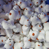 A pile of white and orange cute dog noodle stress relief squishy toys.