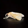 Moth Plush Stuffed Animal Toy – Soft and Cuddly Insect Collectible