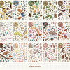 3D Landscape Sticker Collection Book for Scrapbooking & Journaling