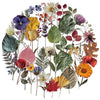 Cute Plant Stickers - Waterproof Botanical Decals for Laptops, Phones & More