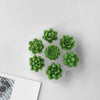 3D Succulent Flower Silicone Mold Set for Baking & Crafts