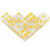 Marble Acrylic D6 Dice Set (10-Pack) for Tabletop RPGs, D&D, and Classroom Learning