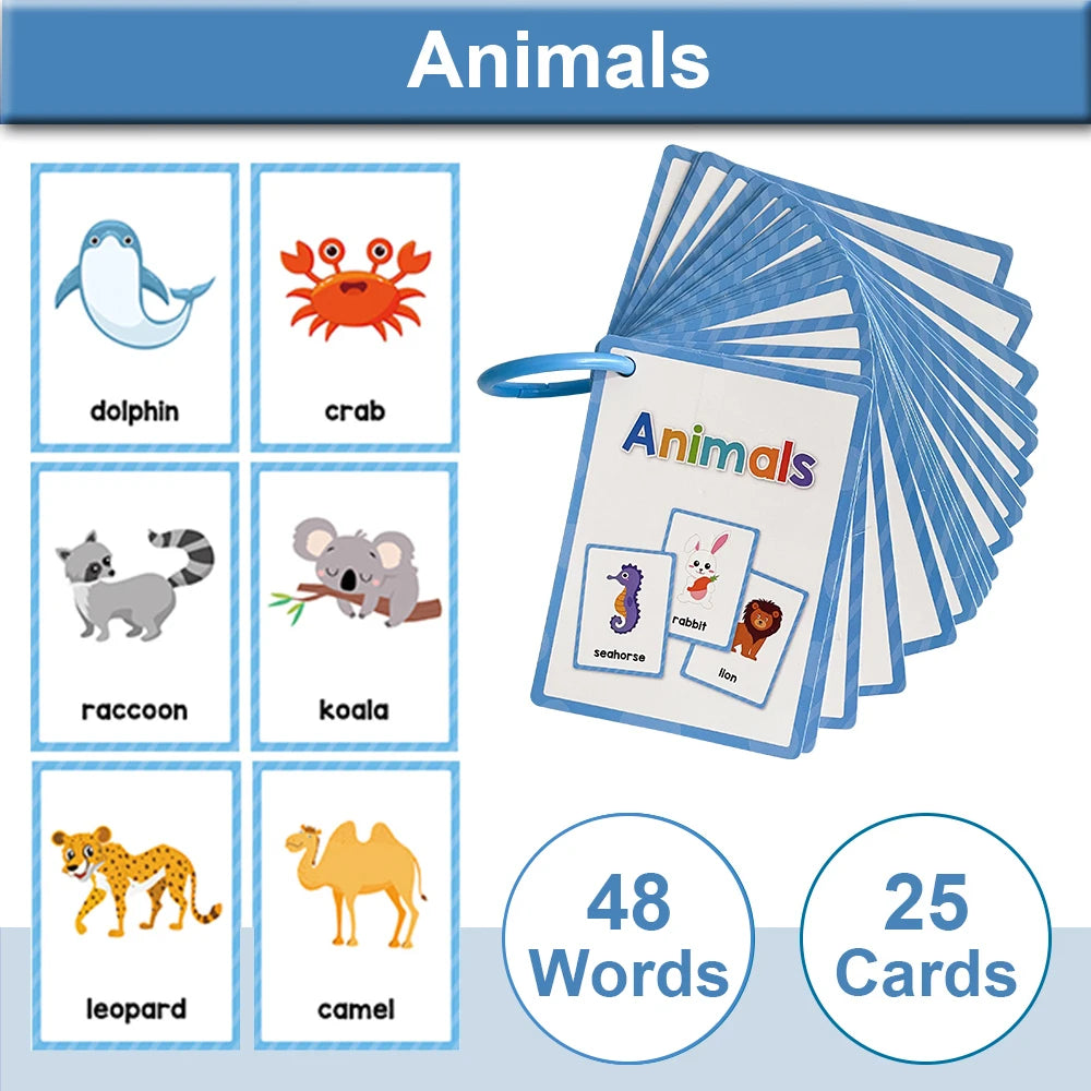 Montessori English Word Learning Cards for Kids