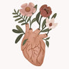Watercolor painting of a human heart made from pink and brown flowers.