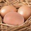 Three realistic plastic hen nesting eggs in a natural straw nest.