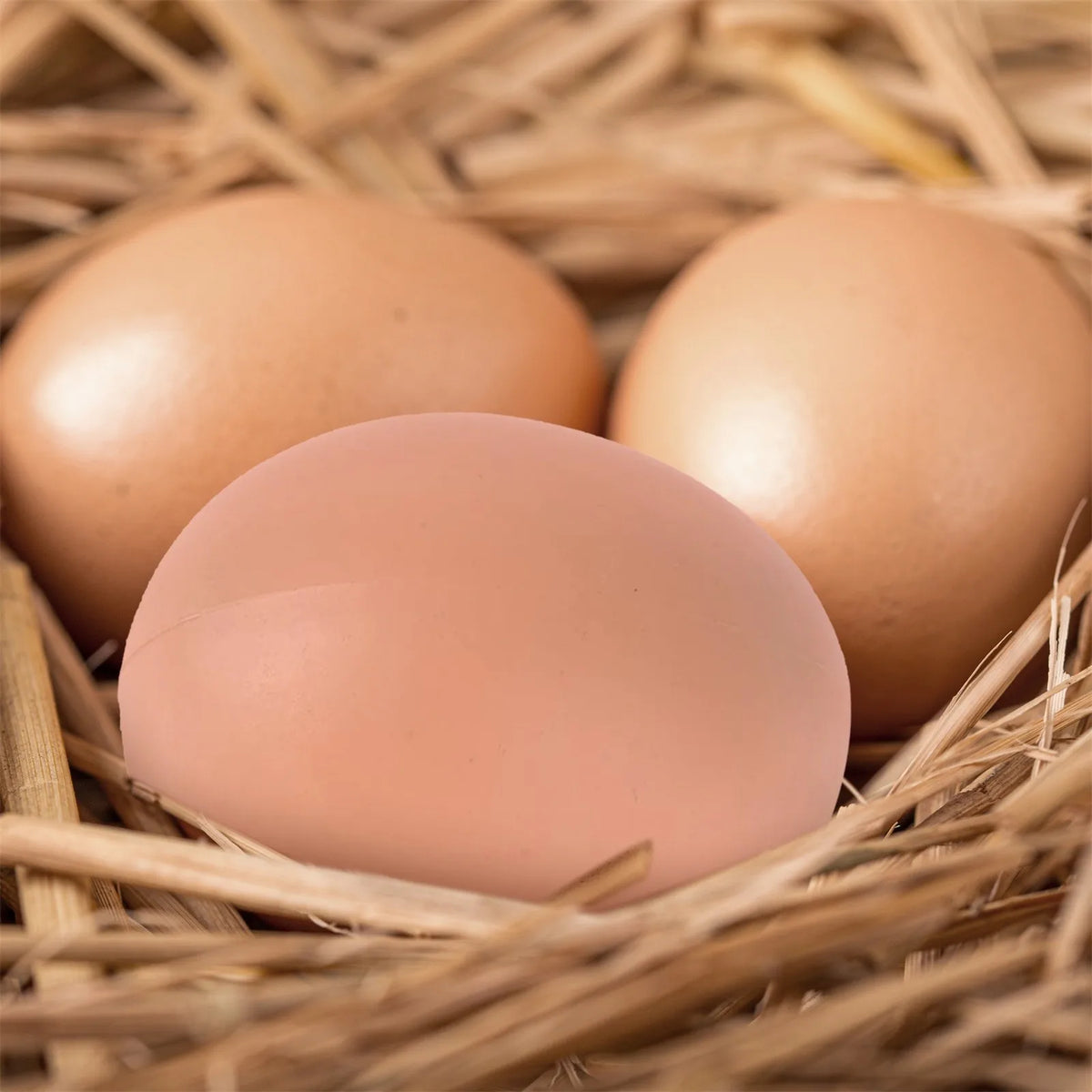 Three realistic plastic hen nesting eggs in a natural straw nest.