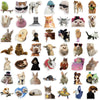 A collection of funny cat and dog meme stickers featuring various animals and humorous expressions.