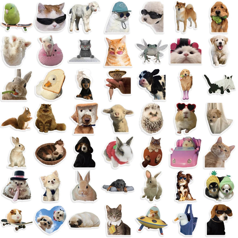 A collection of funny cat and dog meme stickers featuring various animals and humorous expressions.