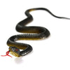 A dark, slender rubber snake decoy with a head and body coiled on a white surface.