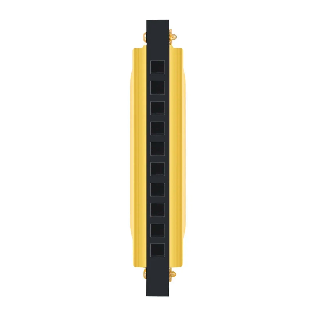 Colorful C Key Harmonica for Beginners – 10 Hole 20 Tone