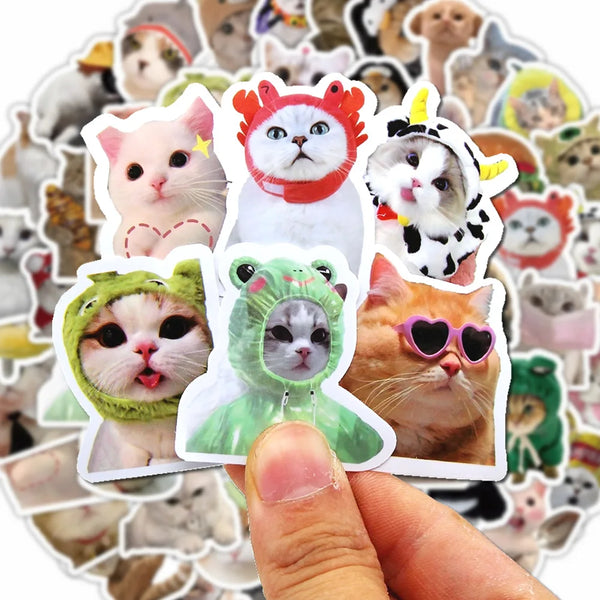 A hand holds a collection of funny cartoon stickers featuring various cats and animals.