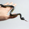 A hand is holding a lifelike rubber snake decoy with mottled black and olive green coloring.