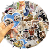 A collection of funny cat and dog meme stickers featuring various animals in a circular arrangement.