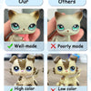 35-Piece Mini Pet & Doll Accessory Variety Pack